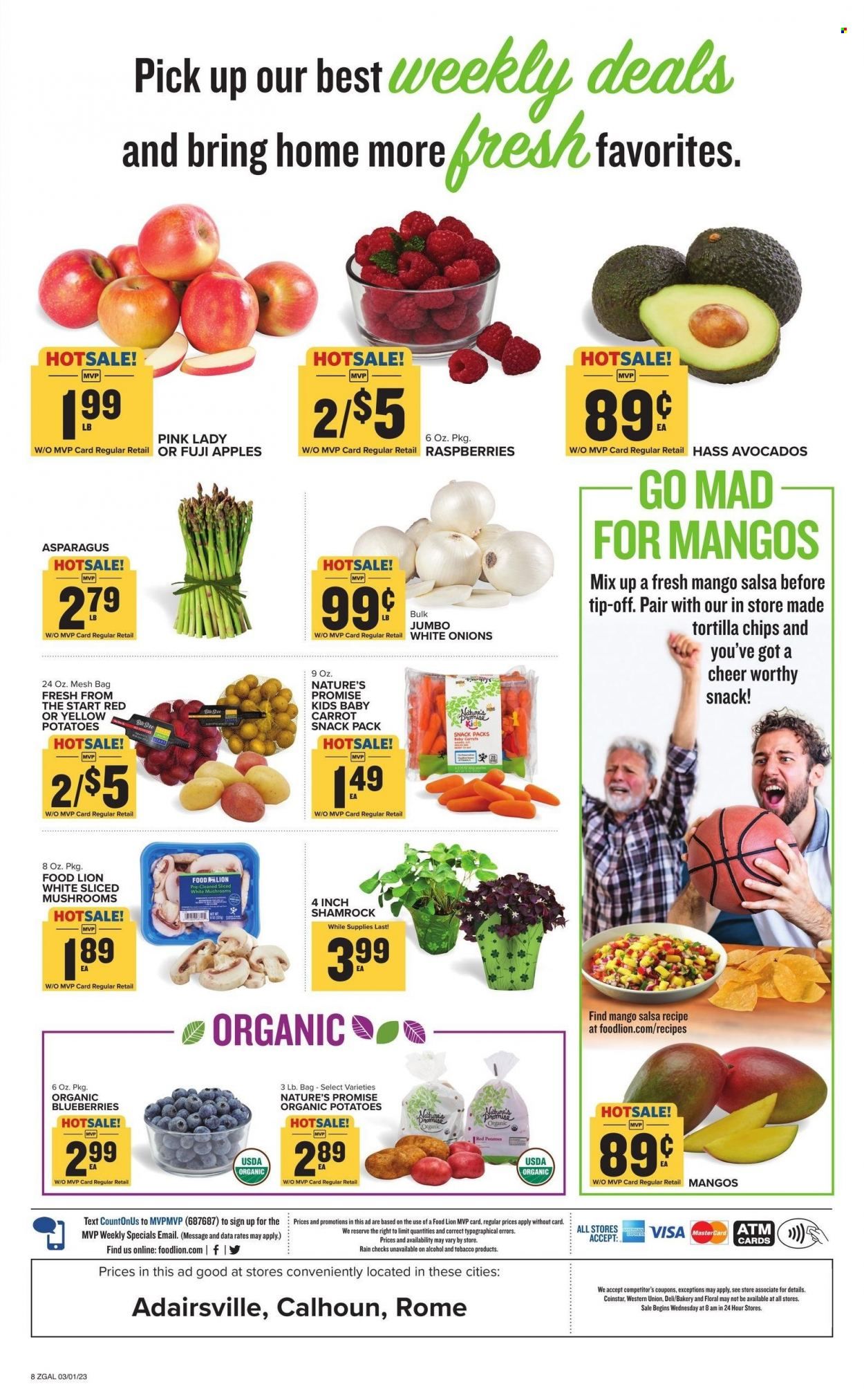 Food Lion (GA) Weekly Ad Flyer Specials March 1 to March 7, 2023
