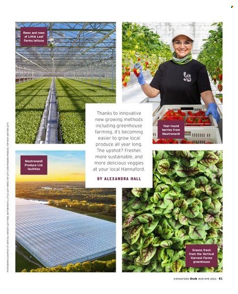 Hannaford (MA, ME, NH, NY, VT) Weekly Ad Flyer Specials March 1 to April 30, 2023