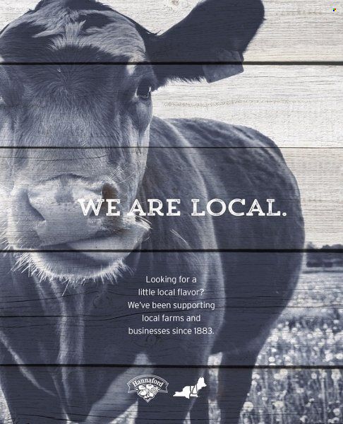 Hannaford (MA, ME, NH, NY, VT) Weekly Ad Flyer Specials March 1 to April 30, 2023