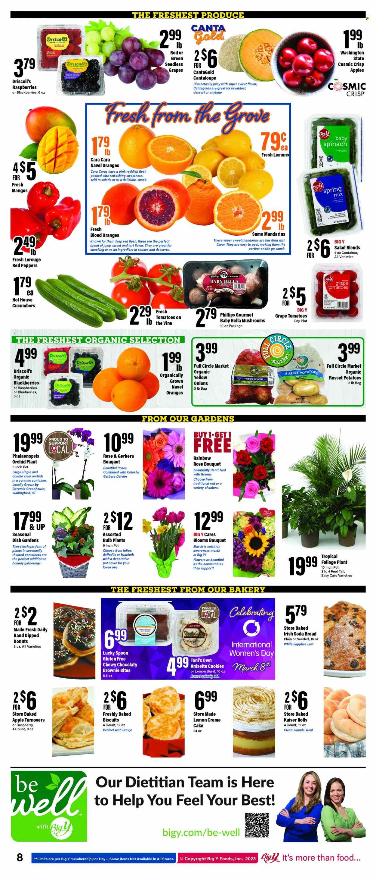Big Y (MA) Weekly Ad Flyer Specials March 2 to March 8, 2023