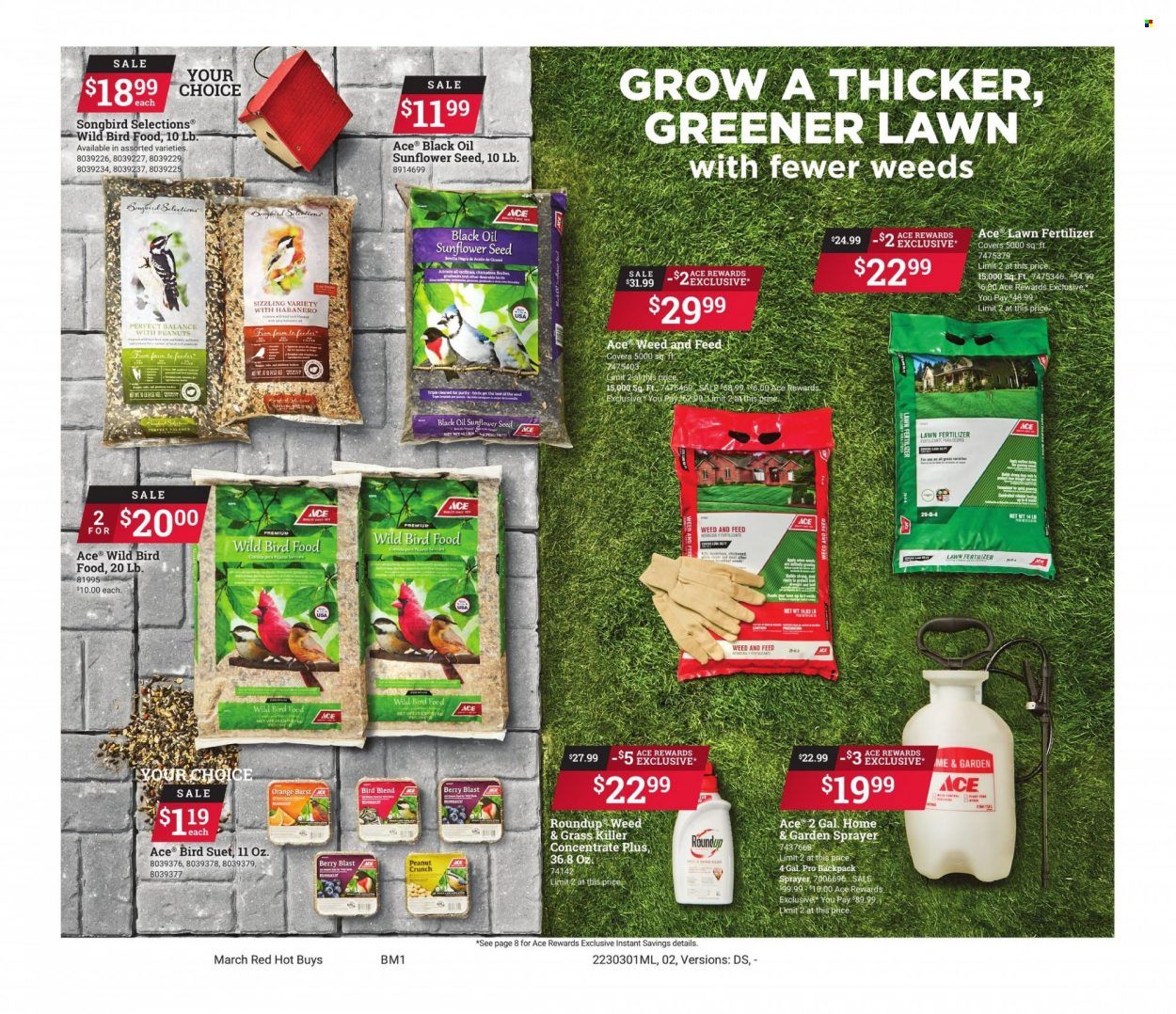 ACE Hardware Weekly Ad Flyer Specials March 1 to March 31, 2023