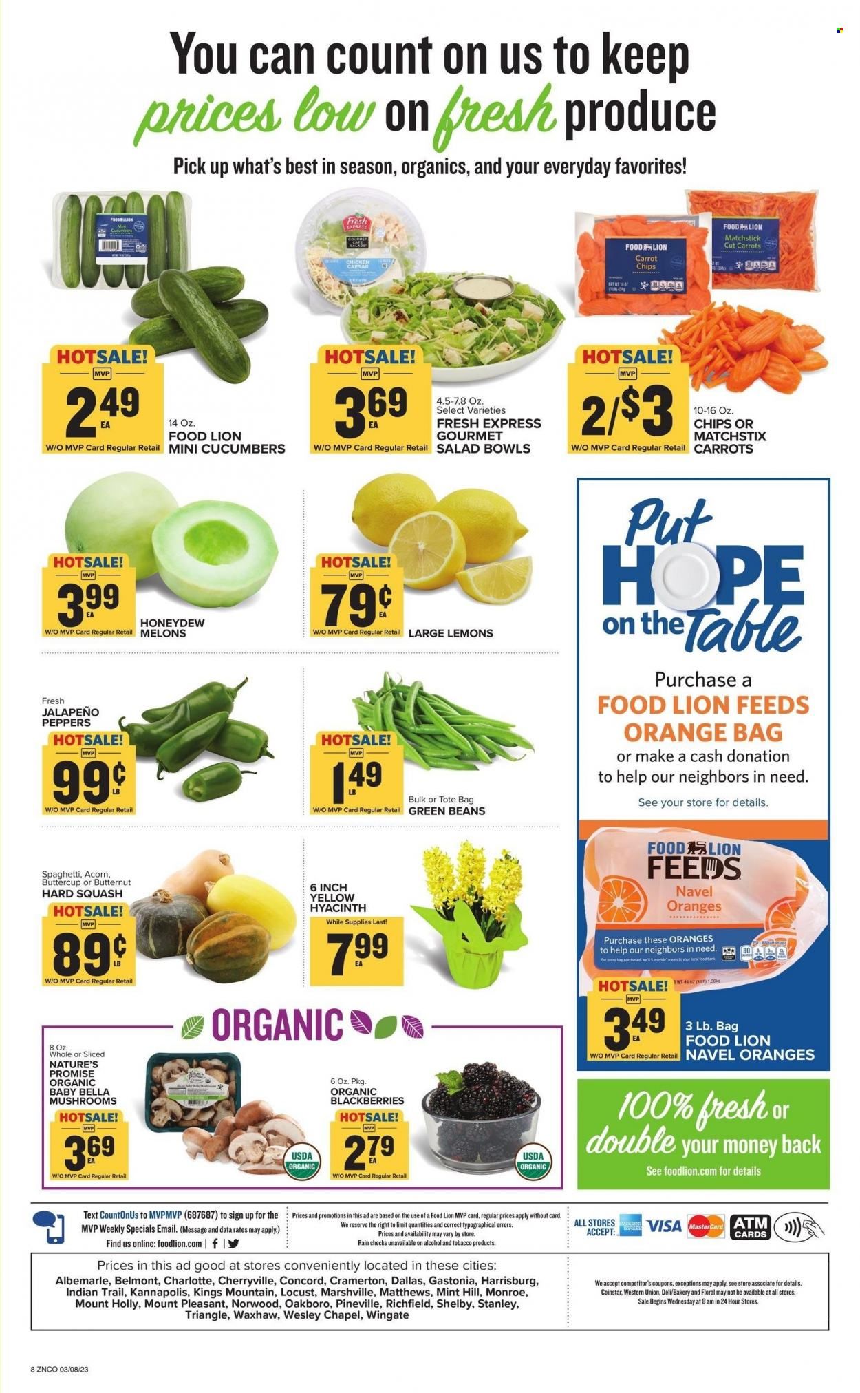 Food Lion (NC) Weekly Ad Flyer Specials March 8 to March 14, 2023