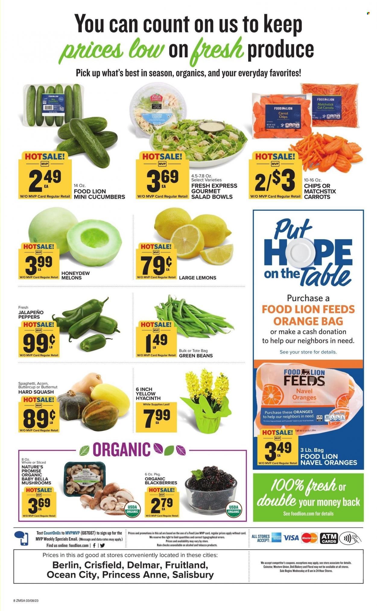 Food Lion (DE, MD) Weekly Ad Flyer Specials March 8 to March 14, 2023