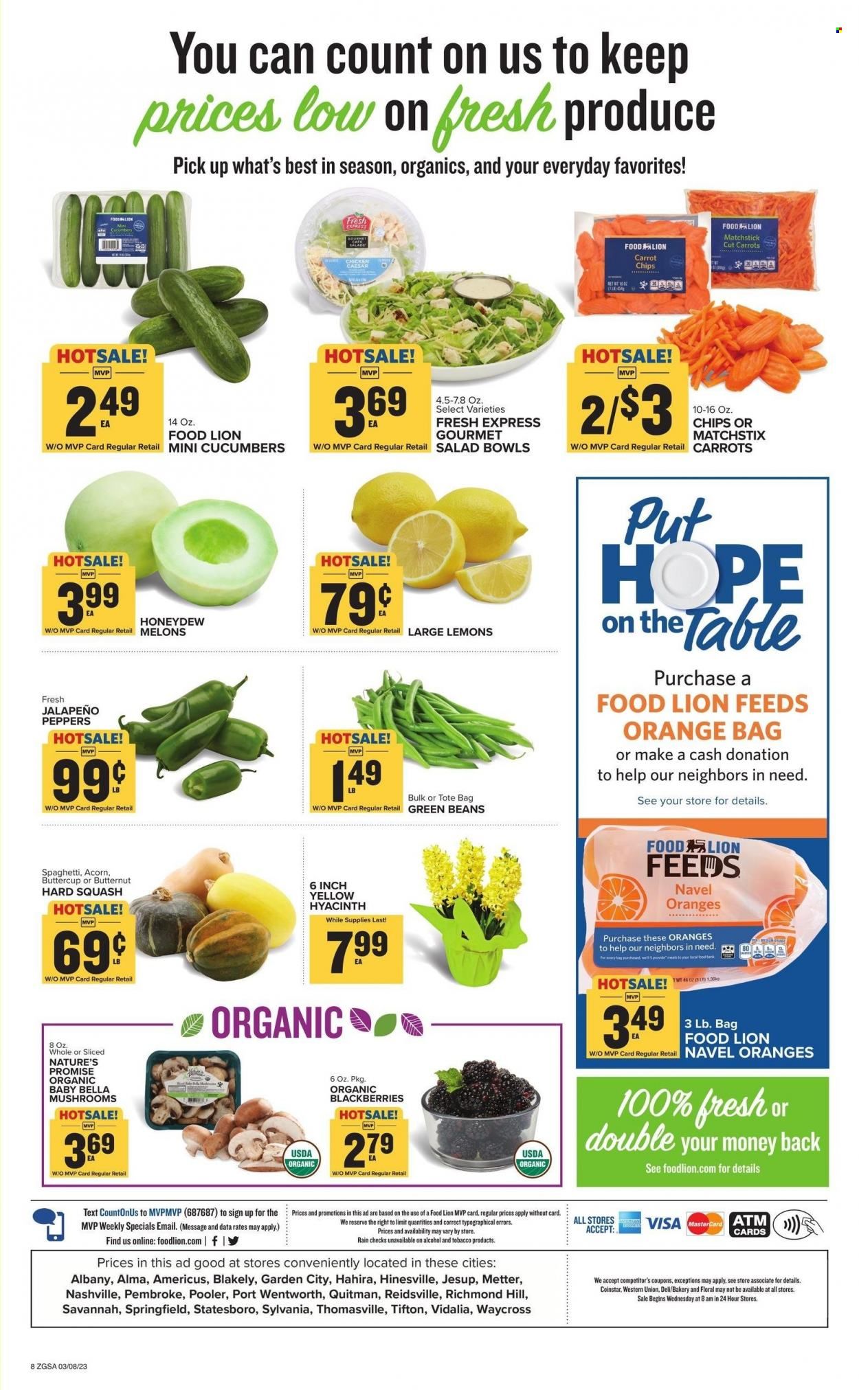 Food Lion (GA) Weekly Ad Flyer Specials March 8 to March 14, 2023