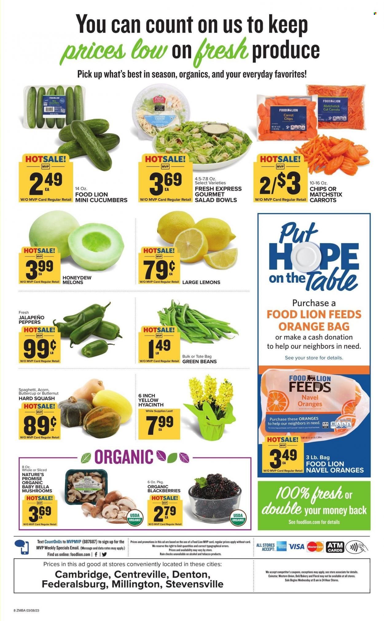 Food Lion (MD) Weekly Ad Flyer Specials March 8 to March 14, 2023