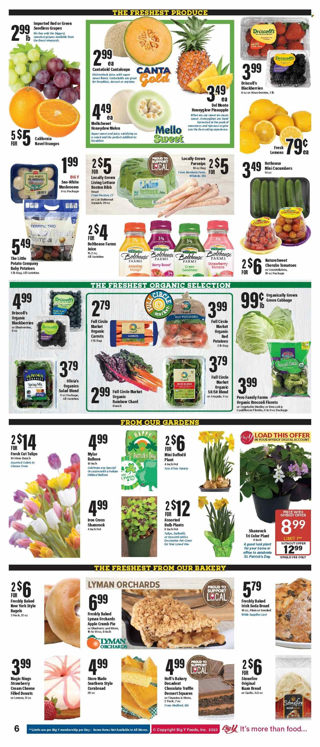 Big Y (CT) Weekly Ad Flyer Specials March 9 to March 15, 2023