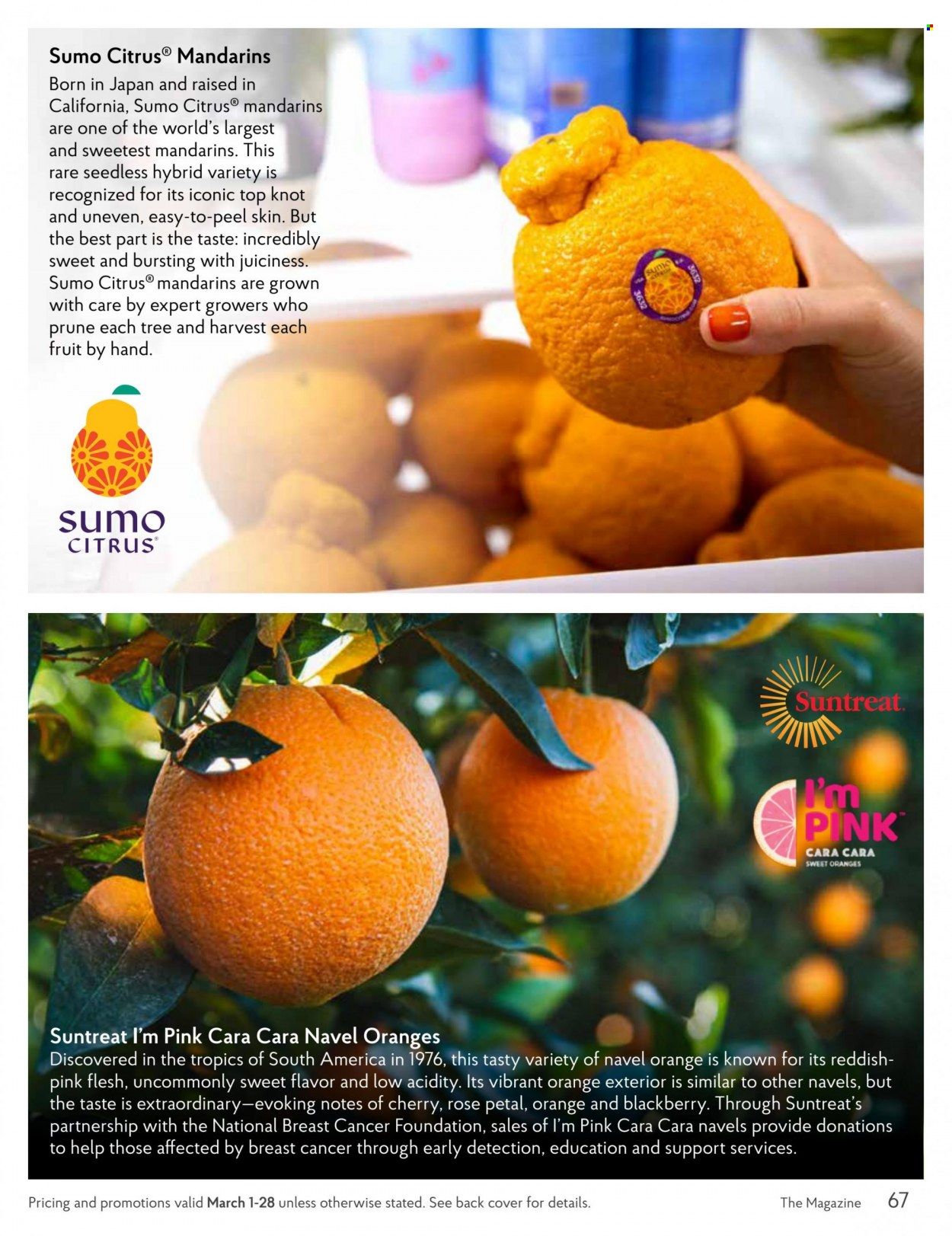 The Fresh Market Weekly Ad Flyer Specials March 1 to March 31, 2023