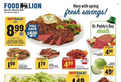 Food Lion (GA) Weekly Ad Flyer Specials March 15 to March 21, 2023