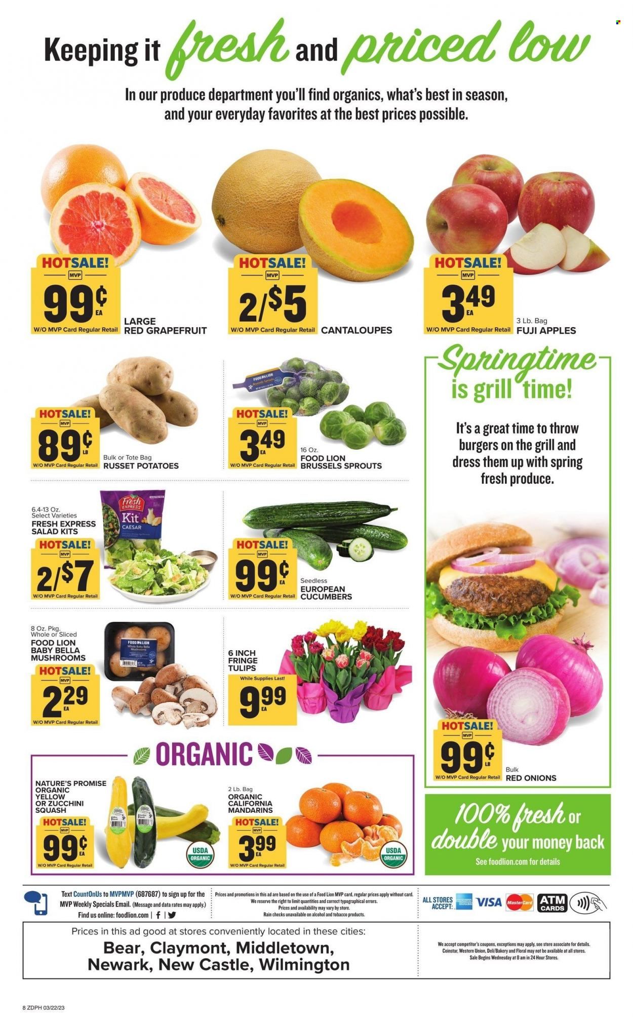 Food Lion (DE) Weekly Ad Flyer Specials March 22 to March 28, 2023