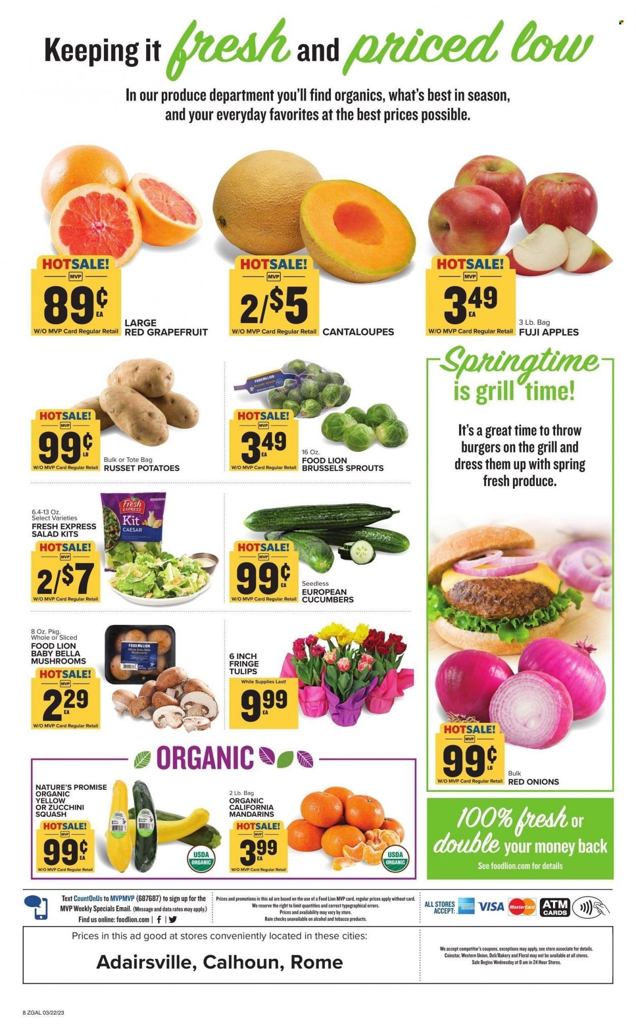 Food Lion (GA) Weekly Ad Flyer Specials March 22 to March 28, 2023
