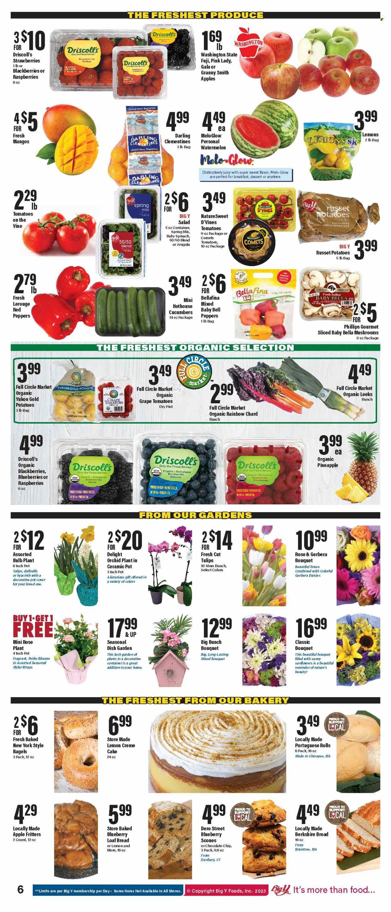 Big Y (CT) Weekly Ad Flyer Specials March 23 to March 29, 2023