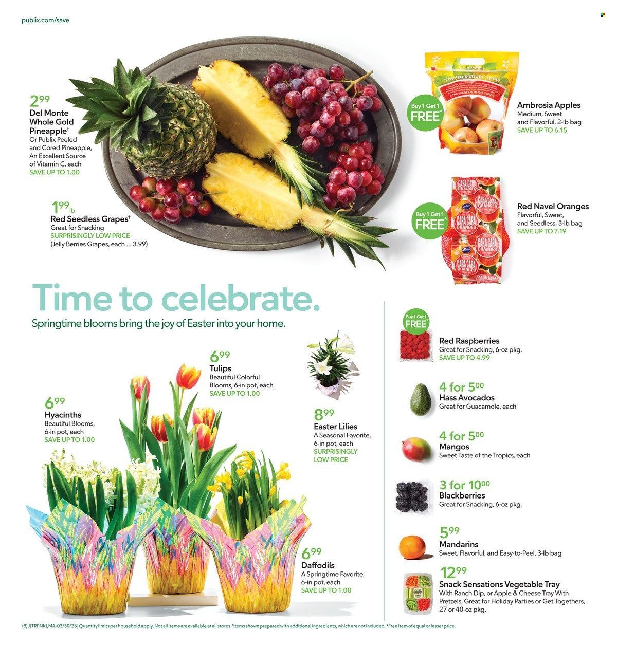 Publix (AL, FL, GA, NC, SC, TN) Weekly Ad Flyer Specials March 30 to April 8, 2023