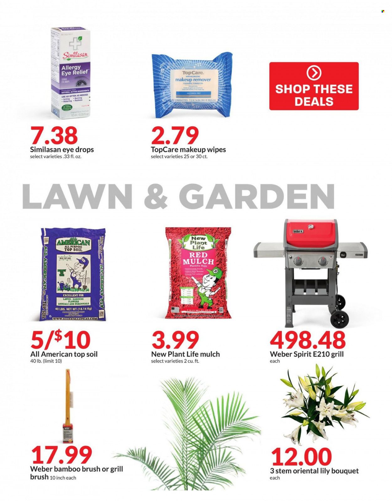 Hy-Vee (IA, IL, MN, MO, SD) Weekly Ad Flyer Specials March 29 to April 5, 2023
