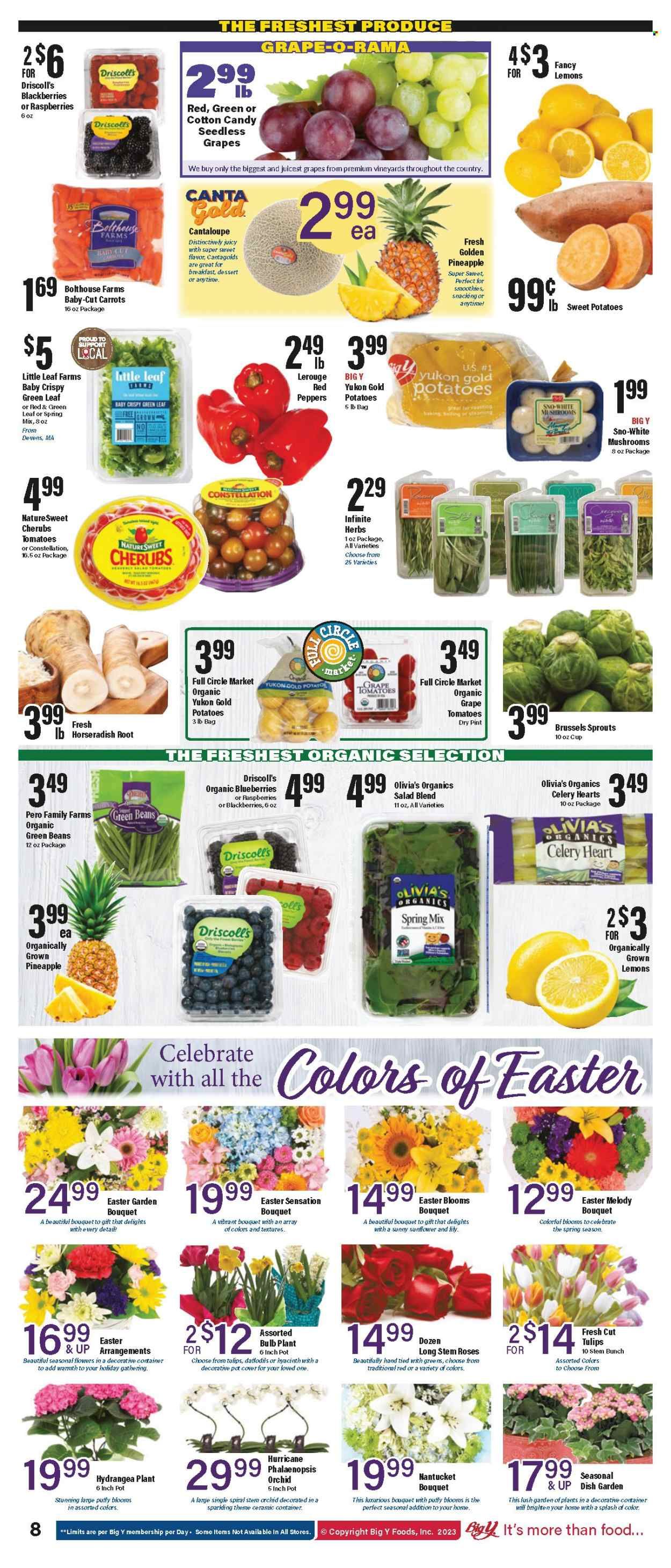 Big Y (CT) Weekly Ad Flyer Specials March 30 to April 12, 2023