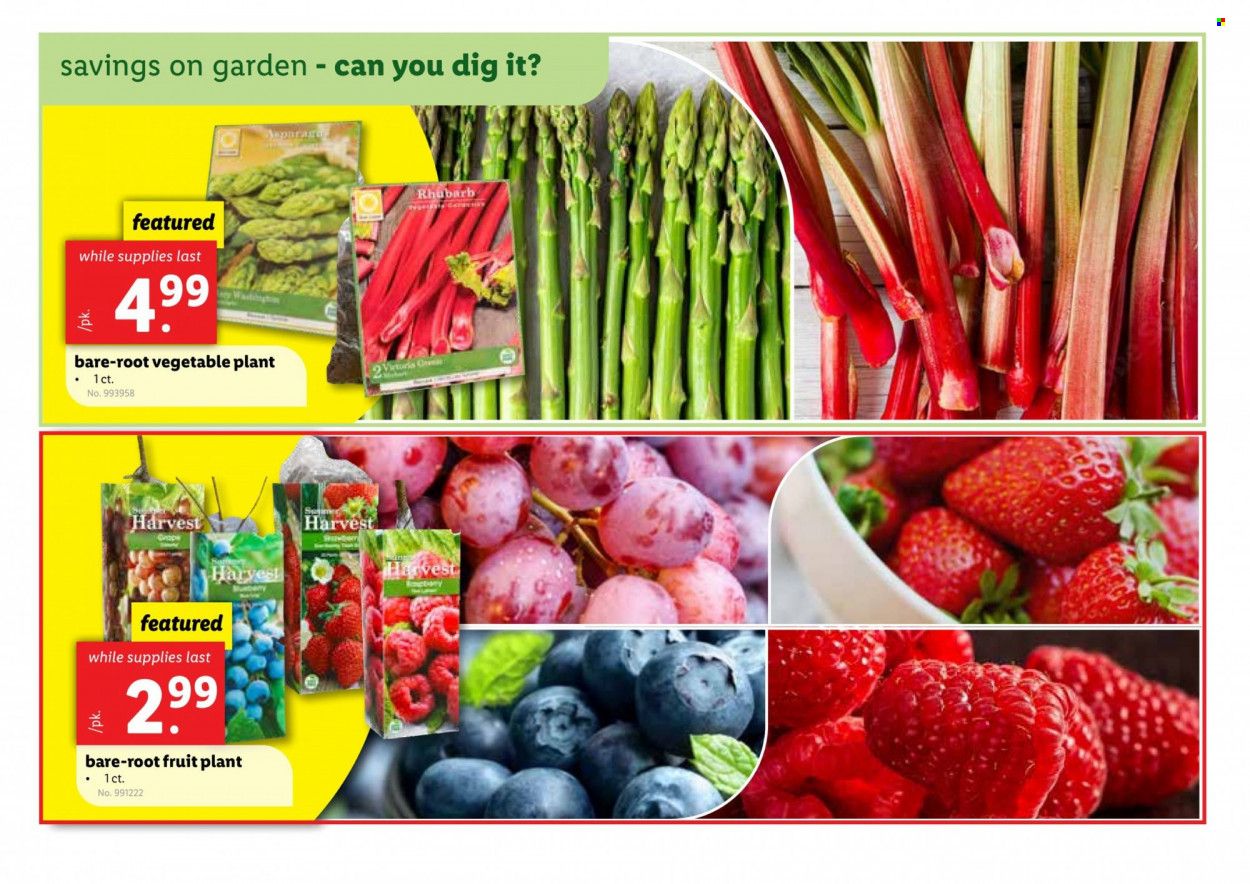 Lidl (GA, MD, NC, NJ, PA, SC, VA) Weekly Ad Flyer Specials March 29 to April 4, 2023