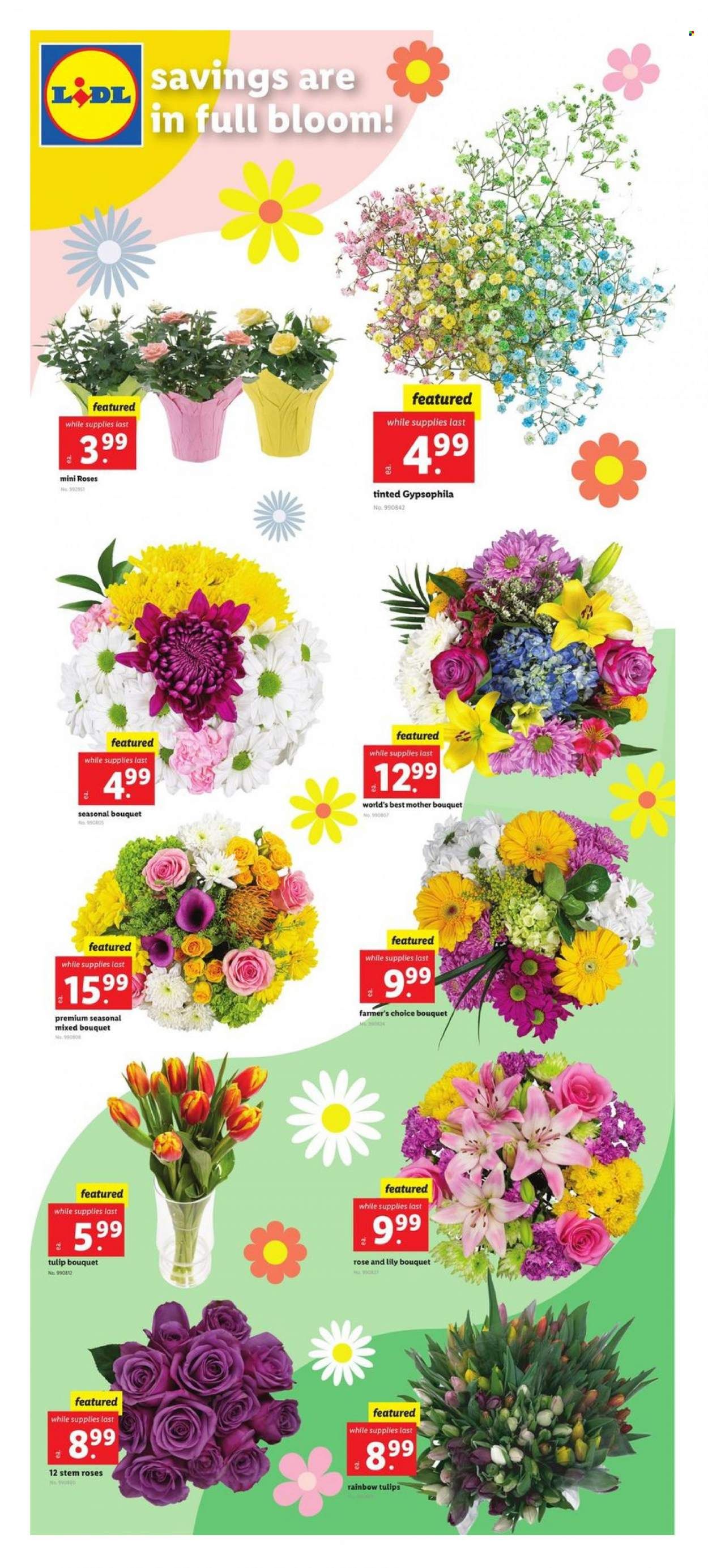 Lidl (GA, MD, NC, NJ, PA, SC, VA) Weekly Ad Flyer Specials April 5 to April 11, 2023