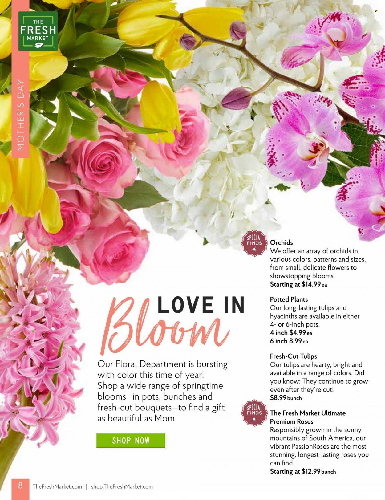 The Fresh Market Weekly Ad Flyer Specials April 1 to April 30, 2023