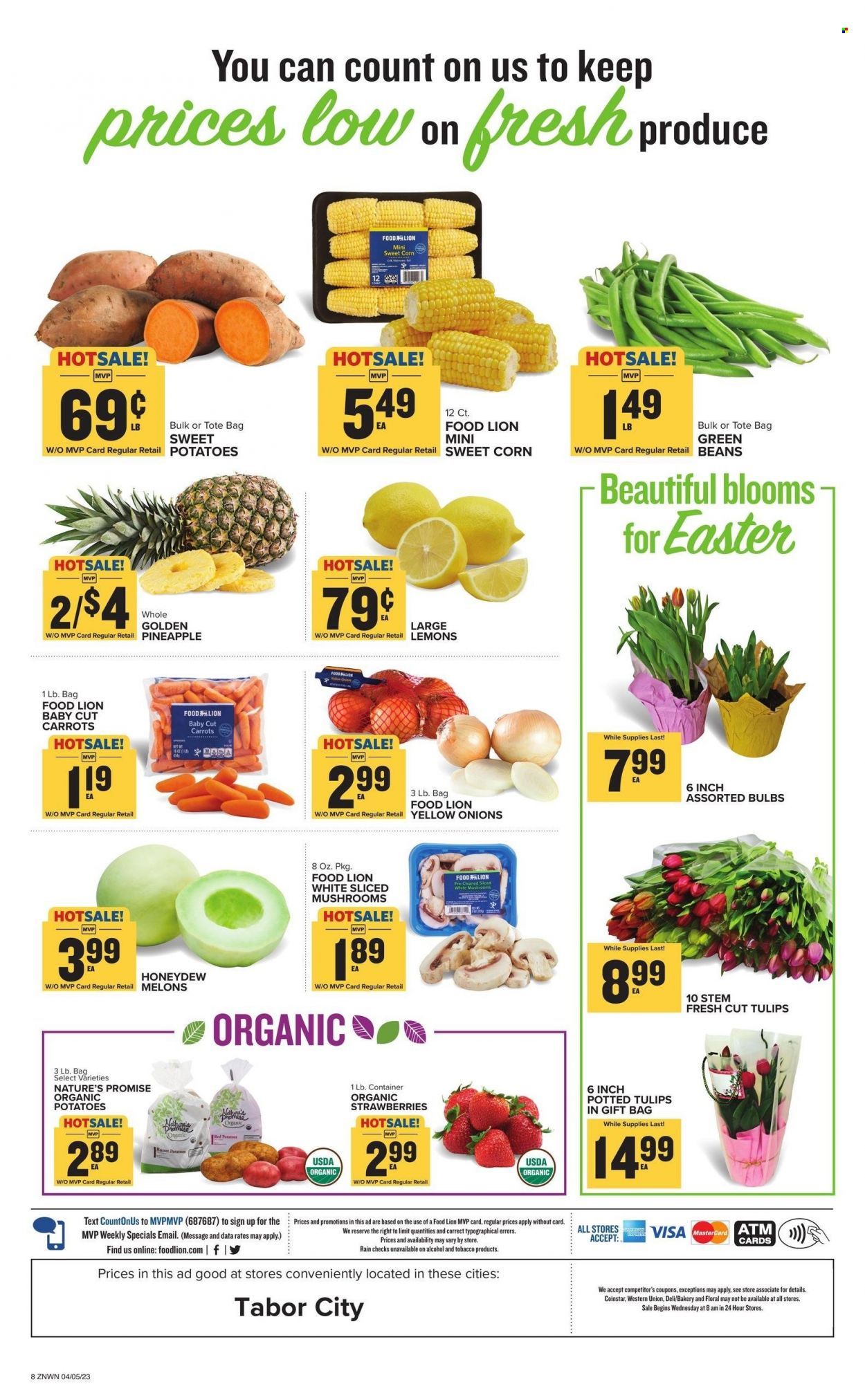 Food Lion (NC) Weekly Ad Flyer Specials April 5 to April 11, 2023