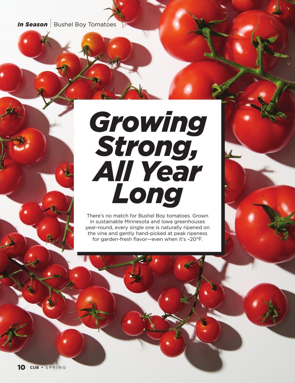 Cub Foods (MN) Weekly Ad Flyer Specials April 17 to April 30, 2023