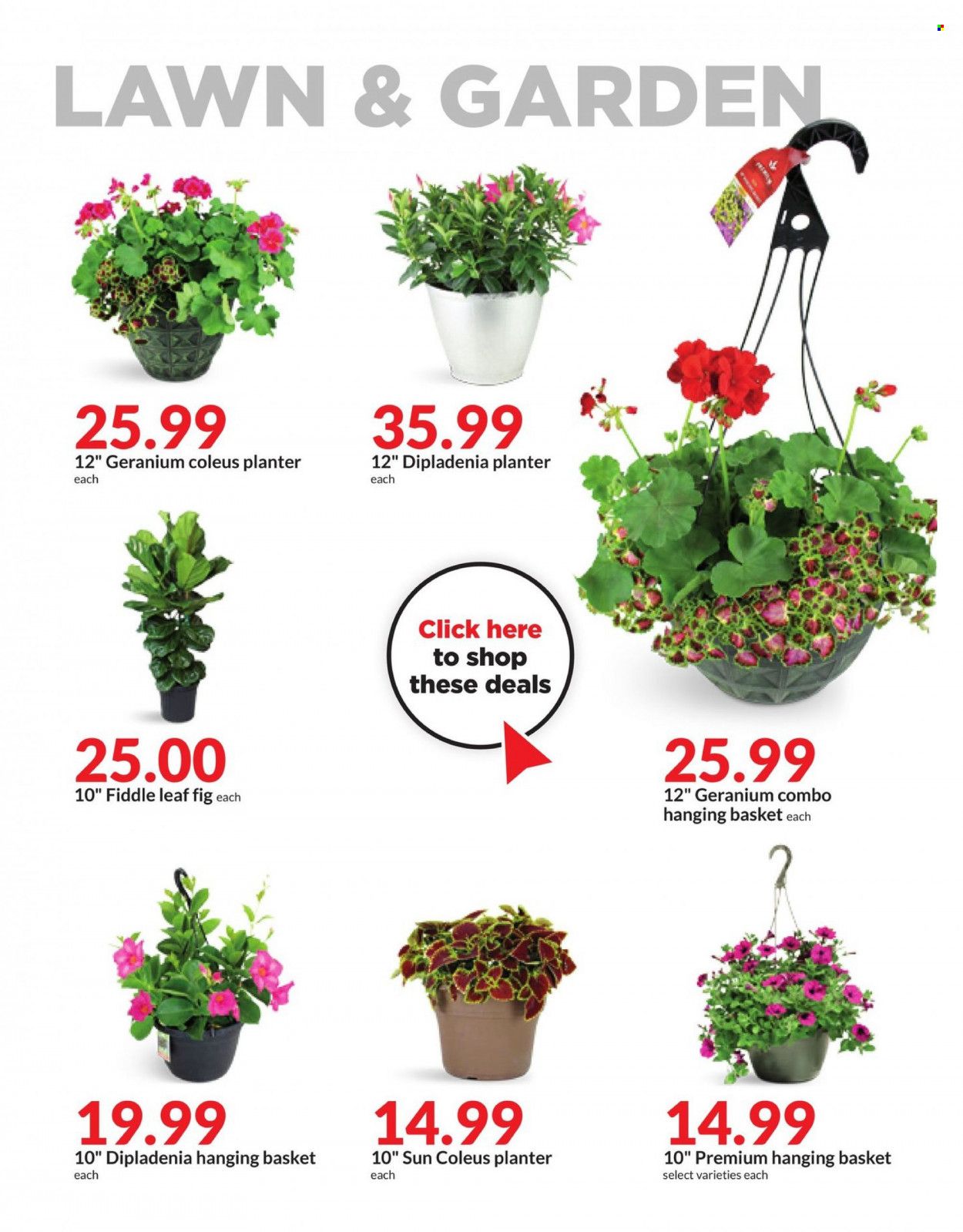 Hy-Vee (IA, IL, MN, MO, SD) Weekly Ad Flyer Specials May 3 to May 9, 2023