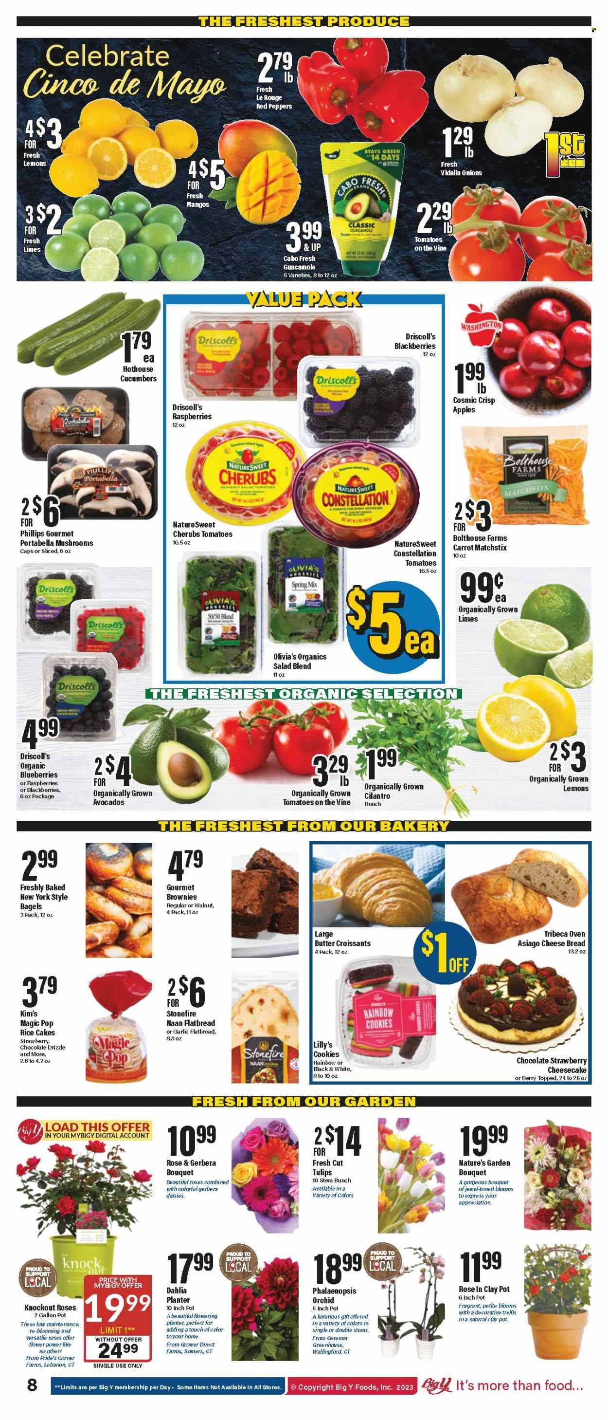 Big Y (CT) Weekly Ad Flyer Specials May 4 to May 10, 2023