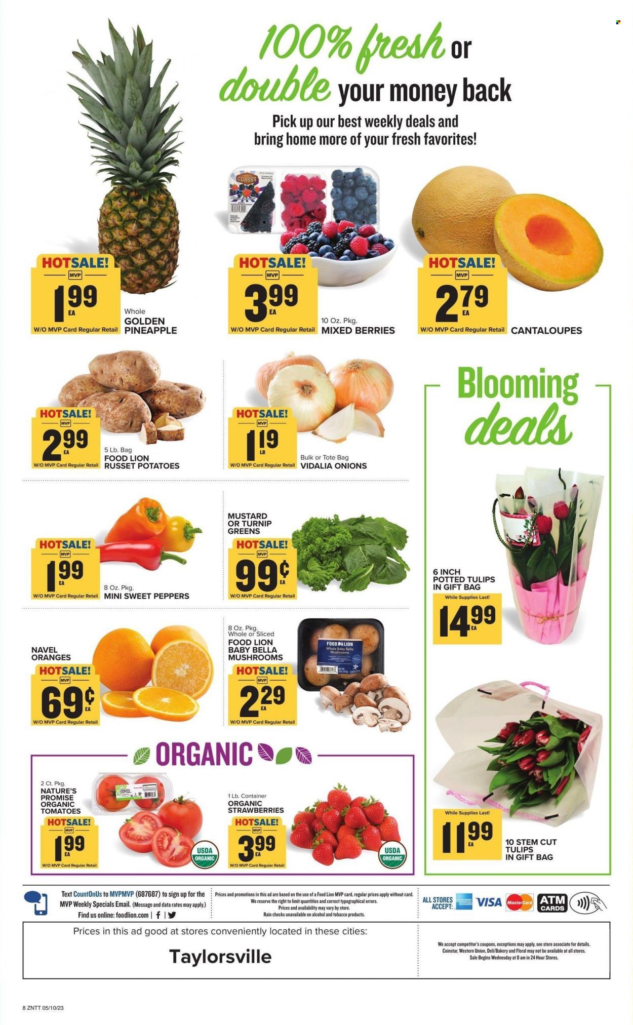 Food Lion (NC) Weekly Ad Flyer Specials May 10 to May 16, 2023