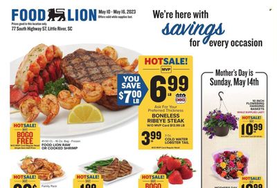 Food Lion (SC) Weekly Ad Flyer Specials May 10 to May 16, 2023