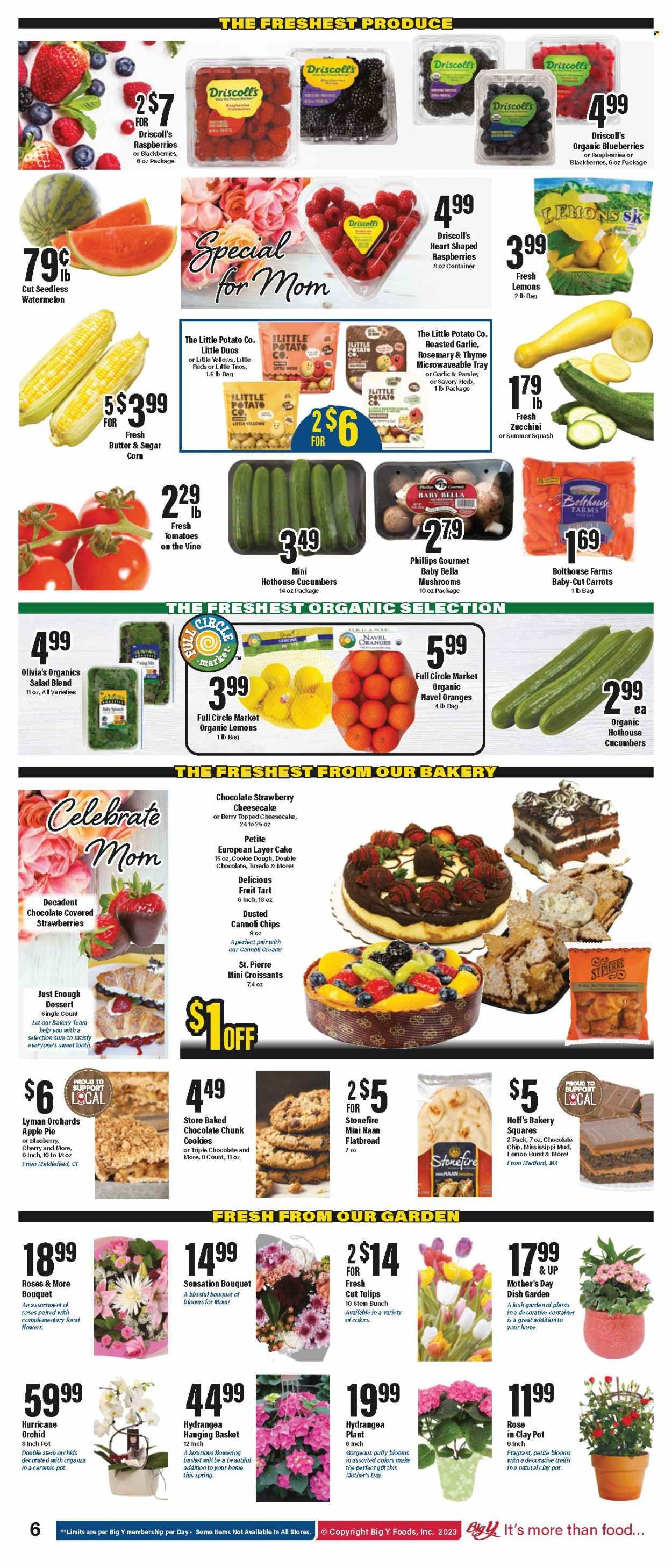 Big Y (CT) Weekly Ad Flyer Specials May 11 to May 17, 2023