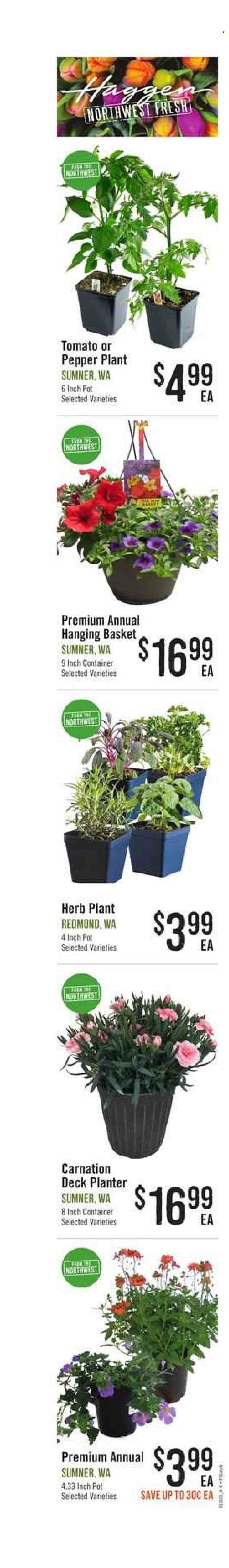 Haggen (WA) Weekly Ad Flyer Specials May 10 to May 23, 2023