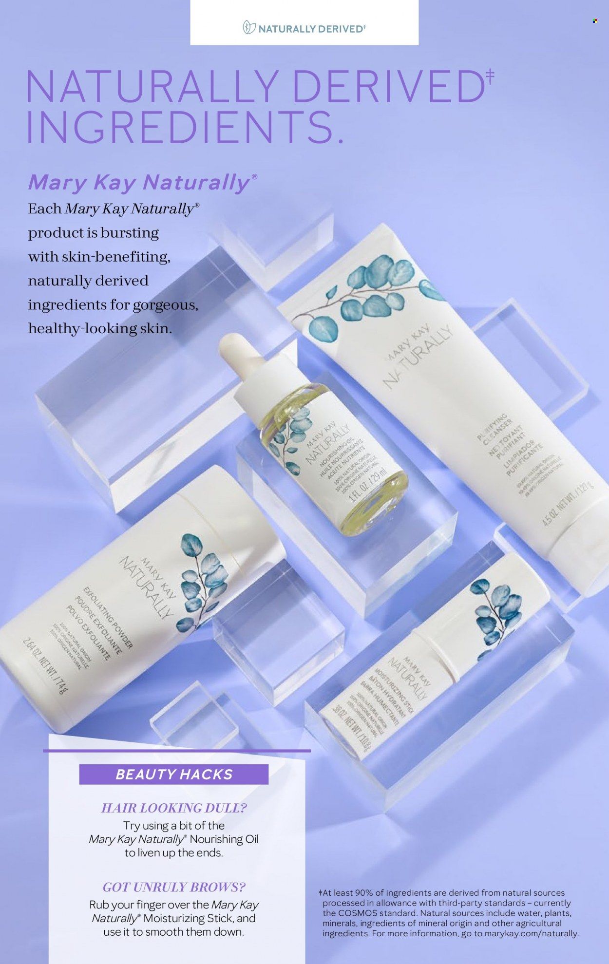 Mary Kay Promotions & Flyer Specials January 2024