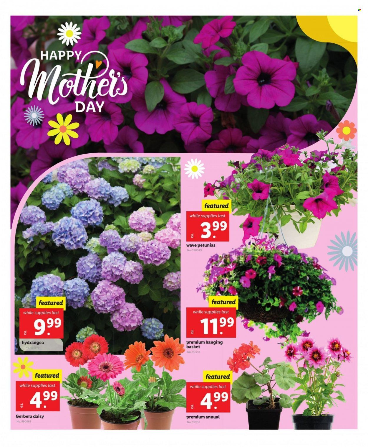 Lidl (GA, MD, NC, NJ, PA, SC, VA) Weekly Ad Flyer Specials May 10 to May 16, 2023