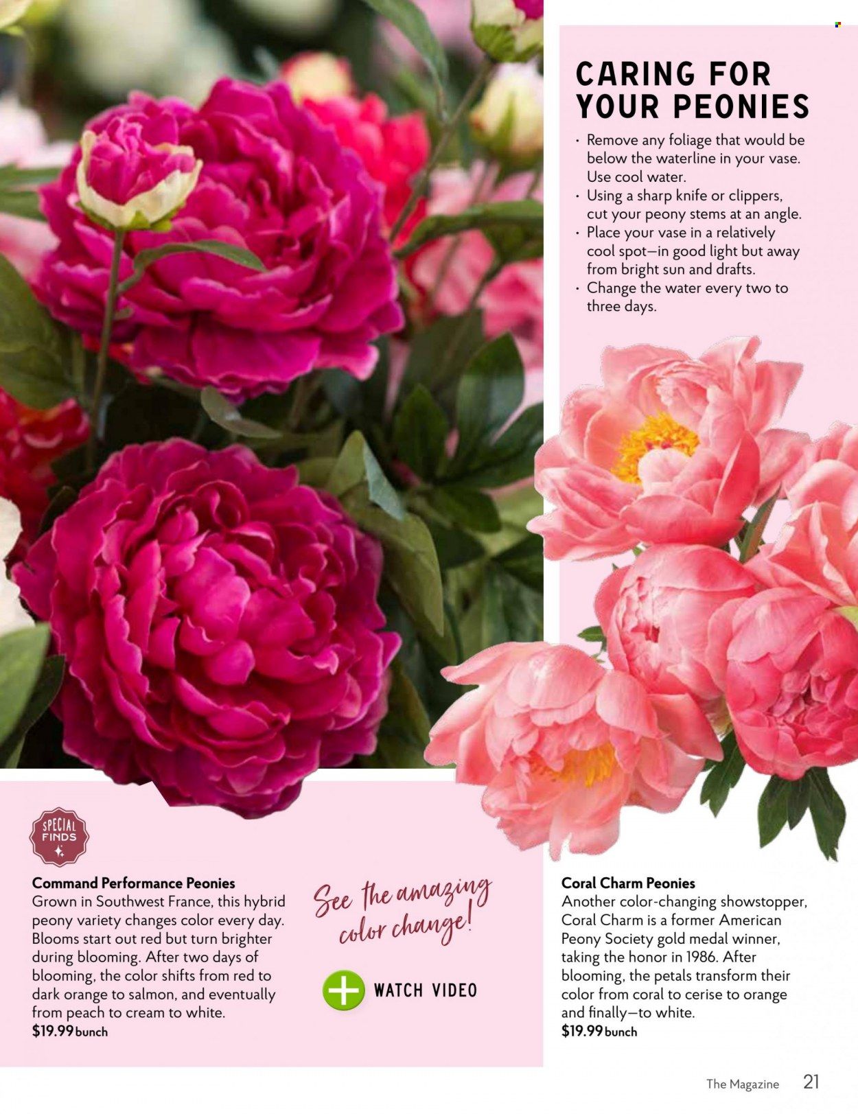 The Fresh Market Weekly Ad Flyer Specials May 3 to May 30, 2023