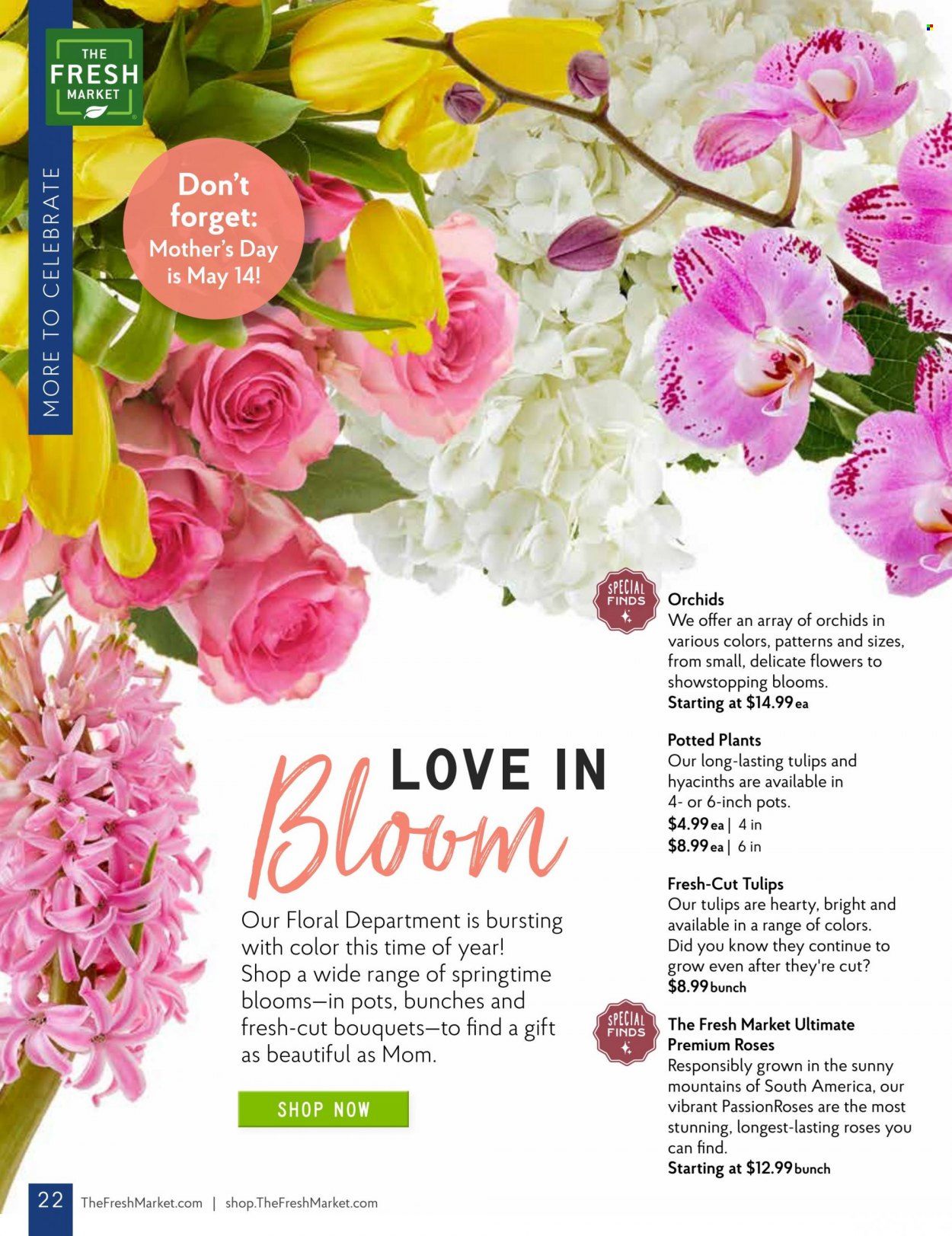 The Fresh Market Weekly Ad Flyer Specials May 3 to May 30, 2023