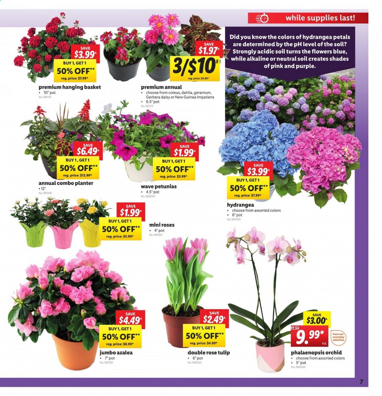Lidl Weekly Ad & Flyer May 6 to 12