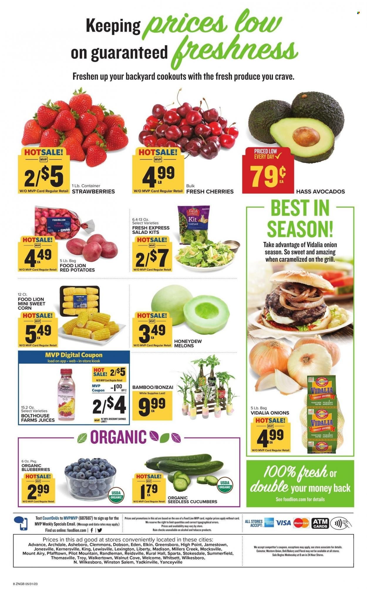 Food Lion (NC) Weekly Ad Flyer Specials May 31 to June 6, 2023