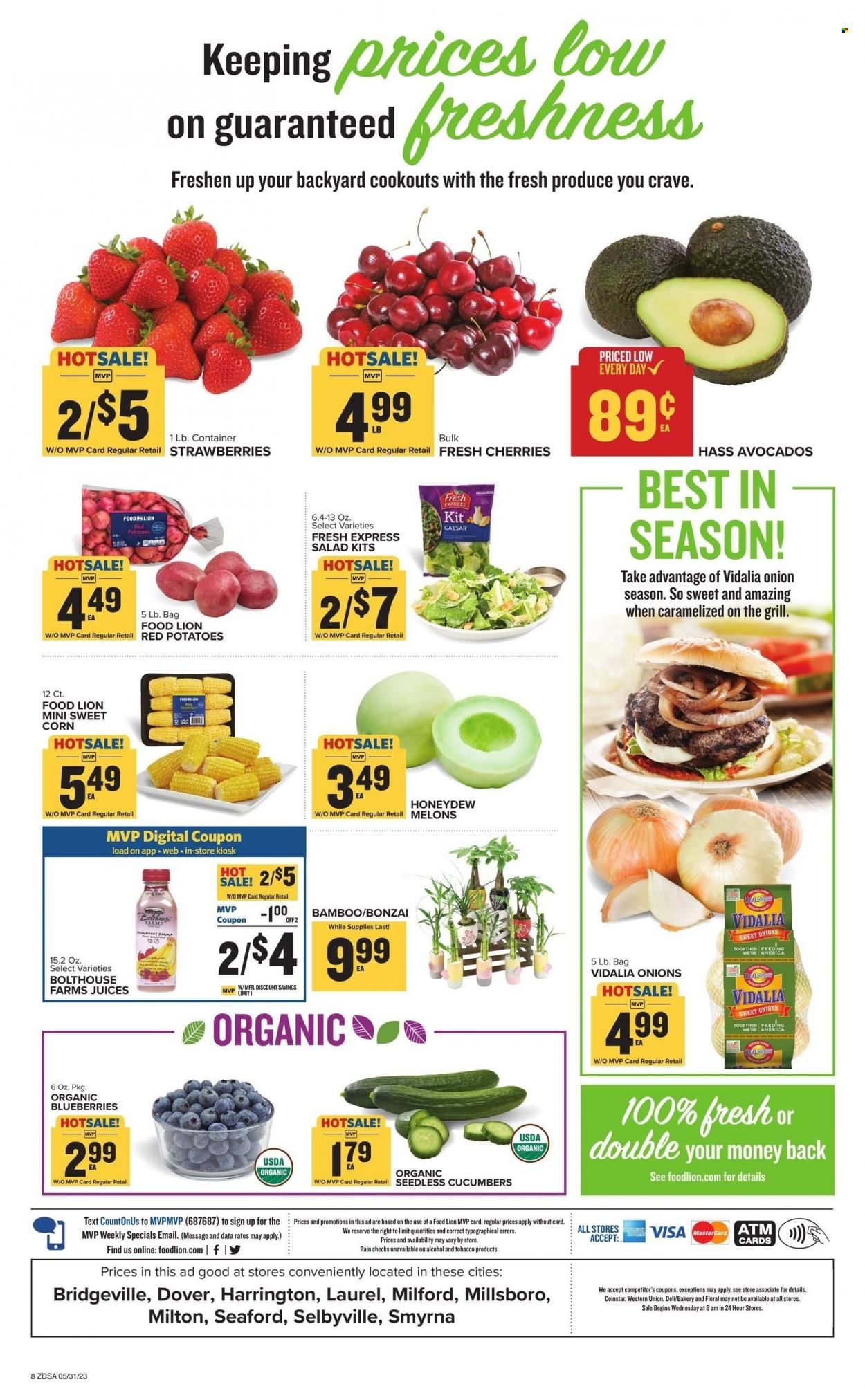 Food Lion (DE) Weekly Ad Flyer Specials May 31 to June 6, 2023