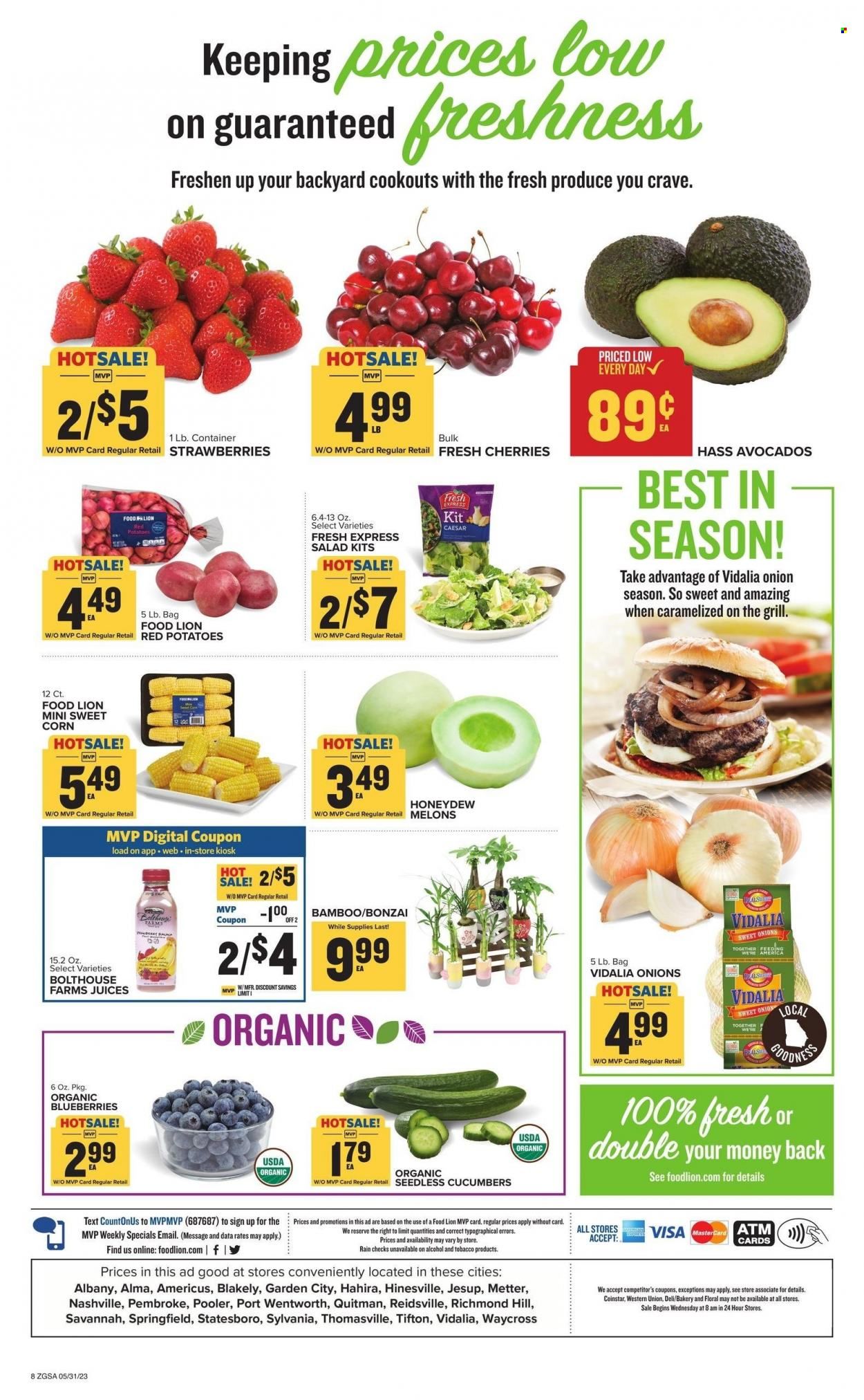 Food Lion (GA) Weekly Ad Flyer Specials May 31 to June 6, 2023