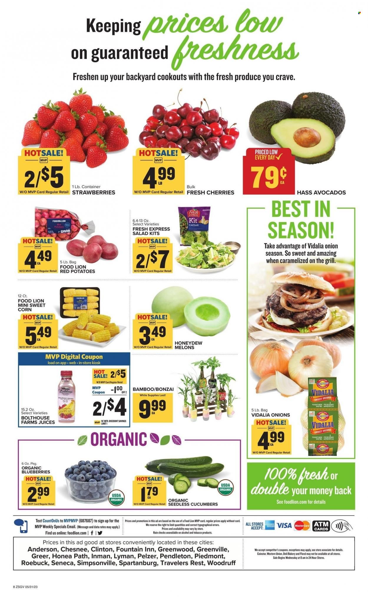 Food Lion (SC) Weekly Ad Flyer Specials May 31 to June 6, 2023