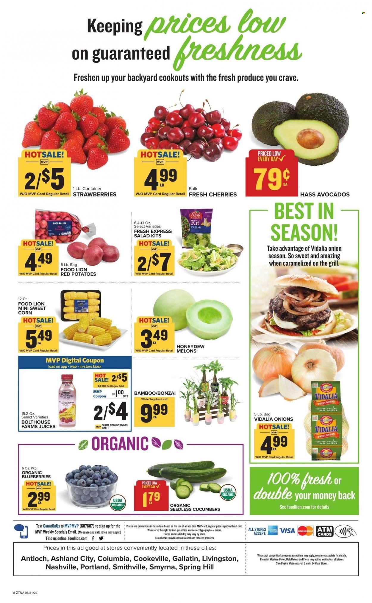 Food Lion (TN) Weekly Ad Flyer Specials May 31 to June 6, 2023