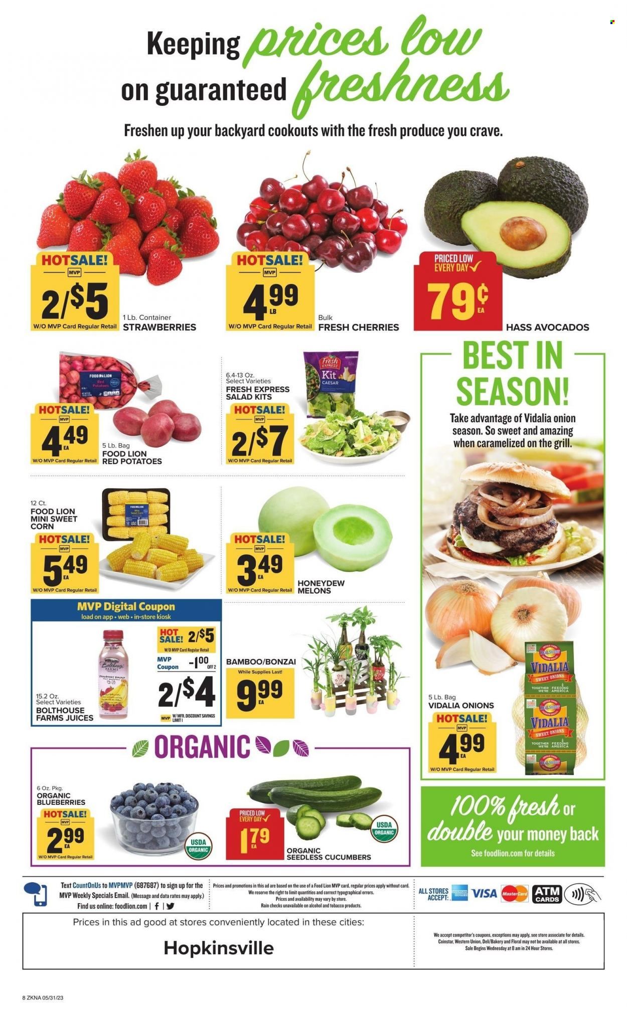 Food Lion (KY) Weekly Ad Flyer Specials May 31 to June 6, 2023