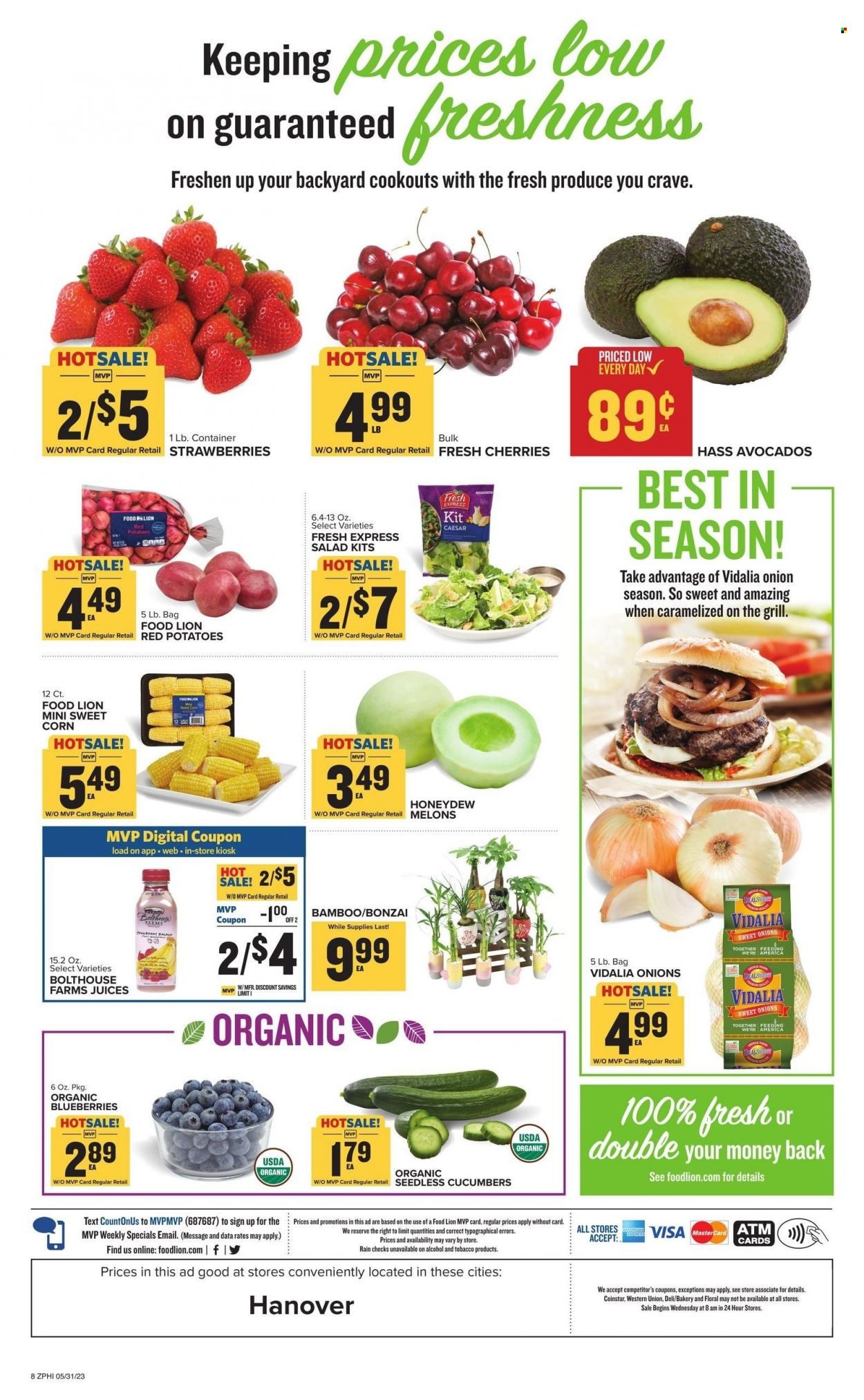 Food Lion (PA) Weekly Ad Flyer Specials May 31 to June 6, 2023
