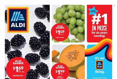 ALDI (FL) Weekly Ad Flyer Specials June 7 to June 13, 2023