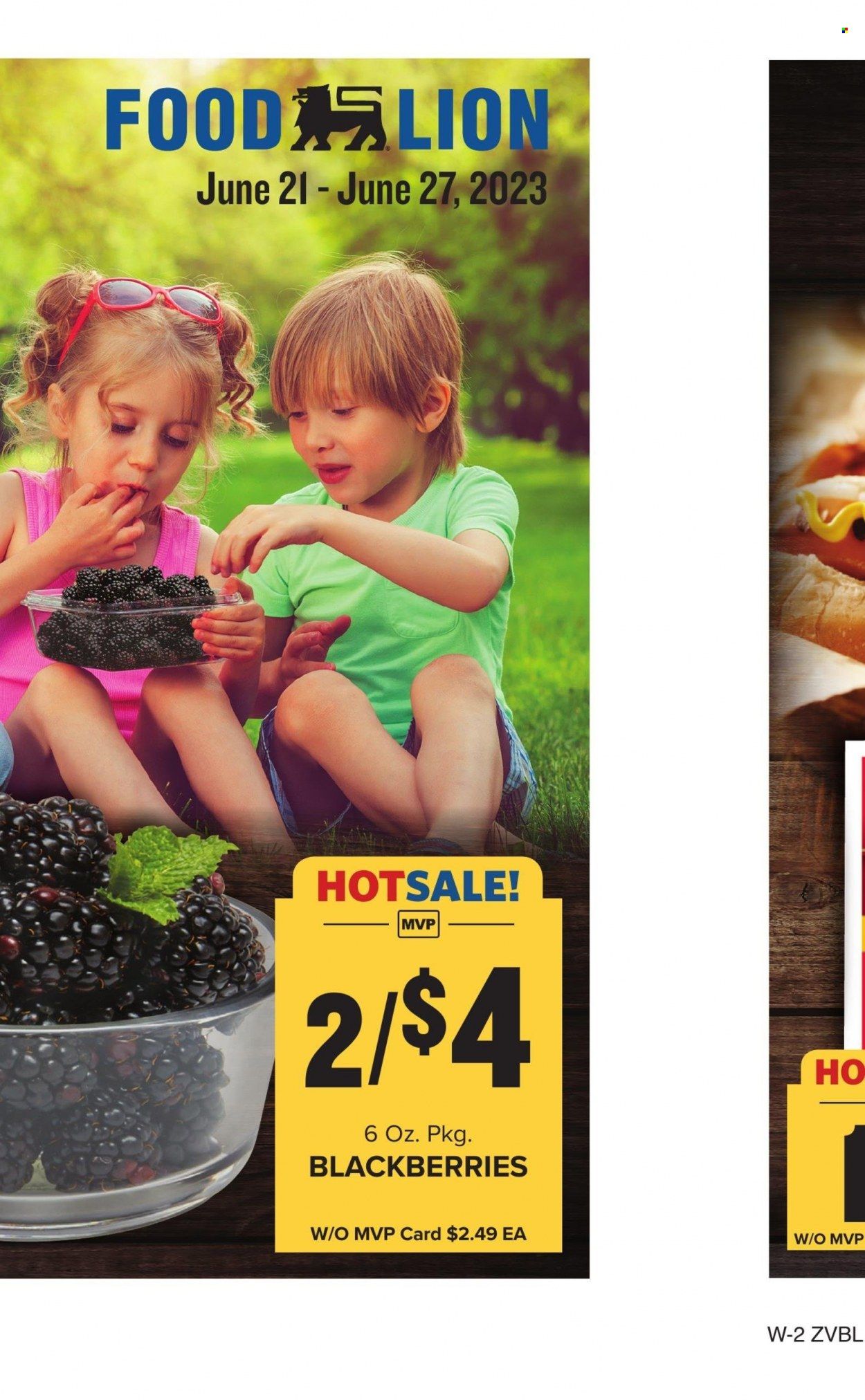 Food Lion (VA) Weekly Ad Flyer Specials June 21 to June 27, 2023