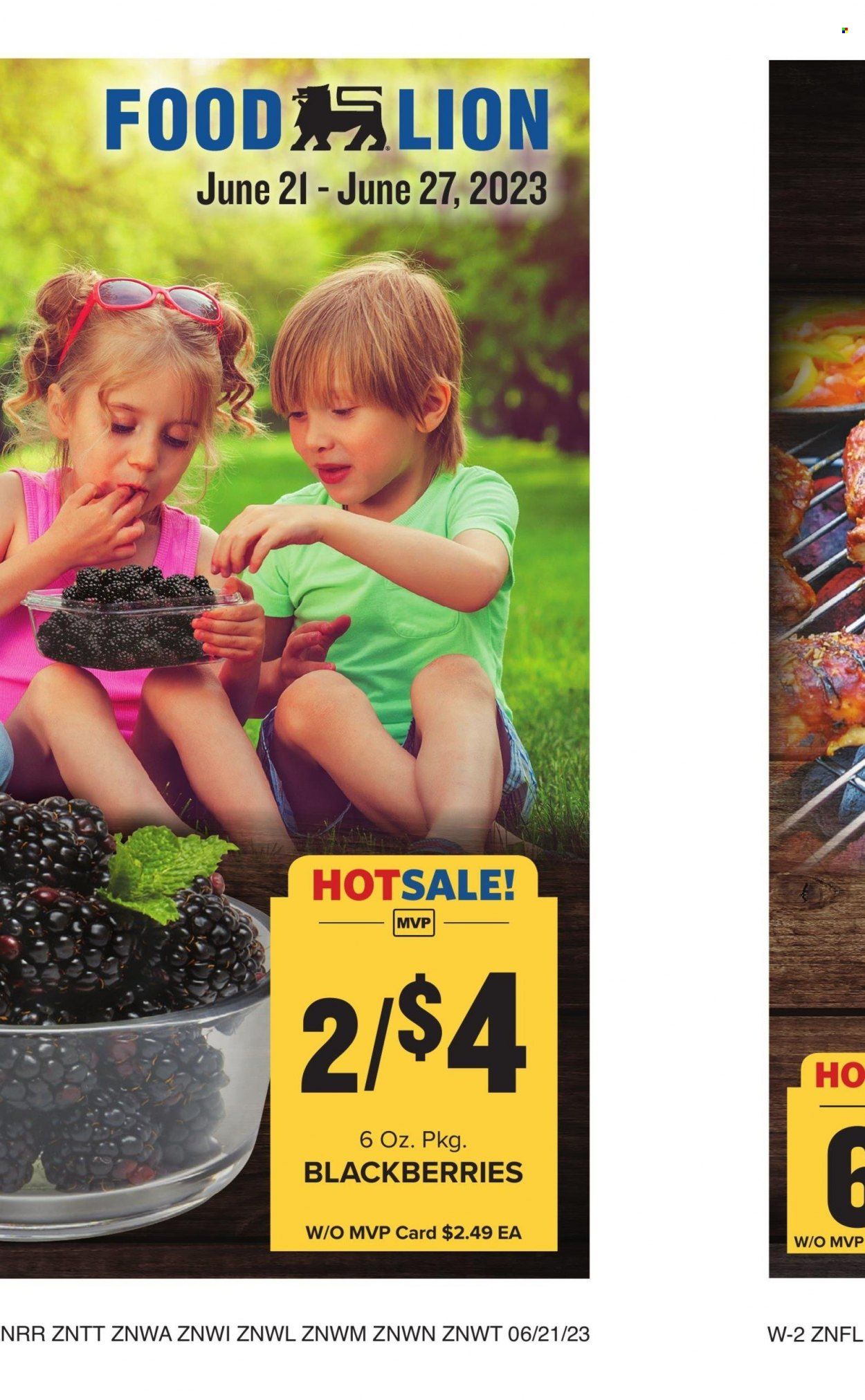 Food Lion (NC) Weekly Ad Flyer Specials June 21 to June 27, 2023