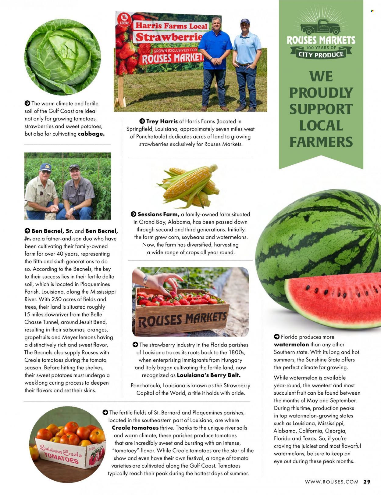 Rouses Markets (AL, LA, MS) Promotions & Flyer Specials July 2023