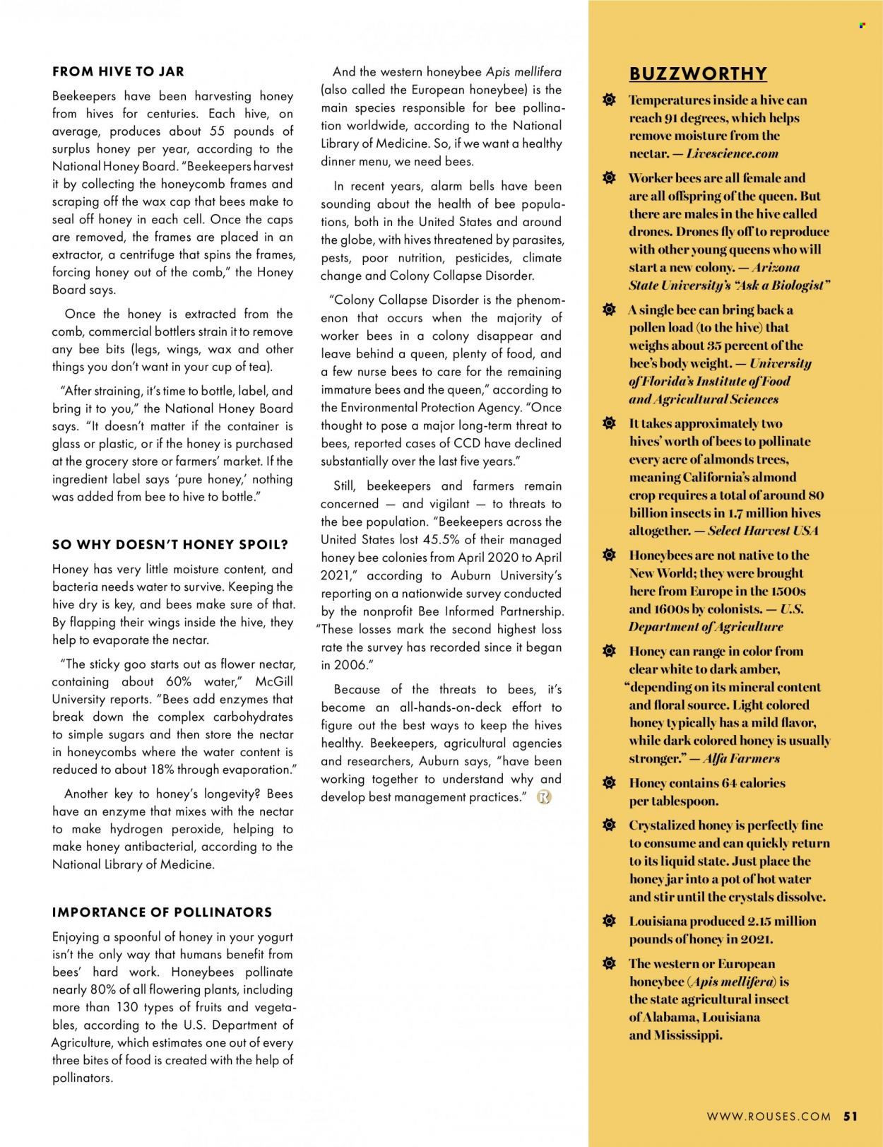 Rouses Markets (AL, LA, MS) Promotions & Flyer Specials July 2023