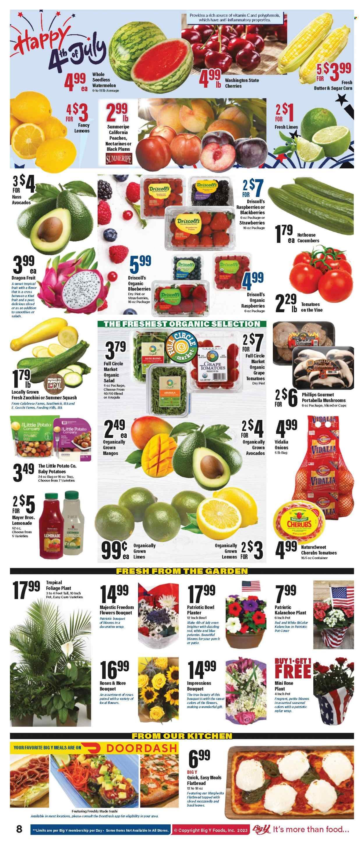 Big Y (CT) Weekly Ad Flyer Specials June 29 to July 5, 2023