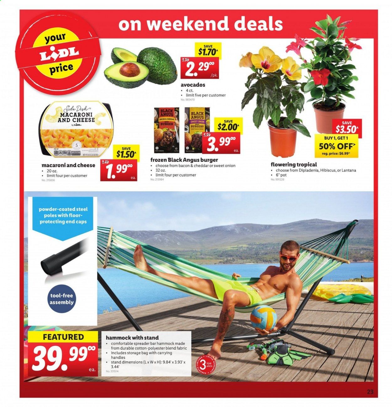 Lidl Weekly Ad & Flyer May 13 to 19