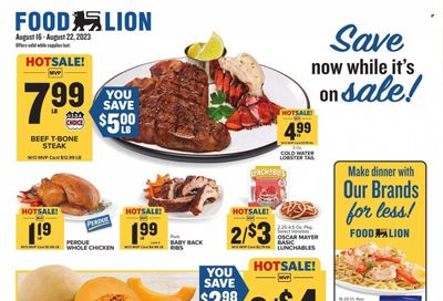 Food Lion (DE) Weekly Ad Flyer Specials August 16 to August 22, 2023