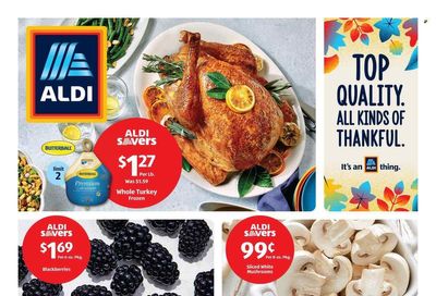 ALDI (FL) Weekly Ad Flyer Specials November 8 to November 14, 2023